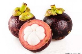 娱乐吃瓜酱山竹,娱乐吃瓜酱的神秘魅力揭秘