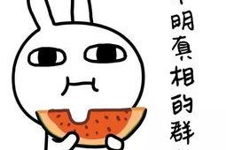 娱乐吃瓜酱学单词,娱乐吃瓜酱带你轻松学单词