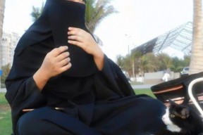 娱乐吃瓜君是哪里人