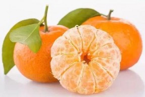 娱乐吃瓜酱砂糖橘